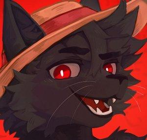 zyye