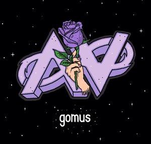 Aviate Gomus