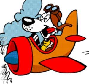 Avionauta