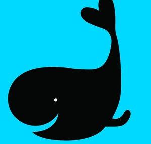 ChillOutWhale l Daily Uploads