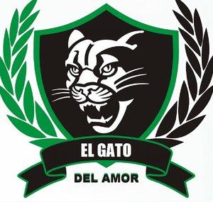 EL GATO DEL AMOR