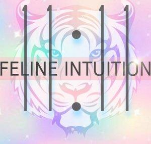 Feline Intuition 11:11