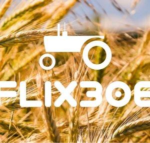 flix306
