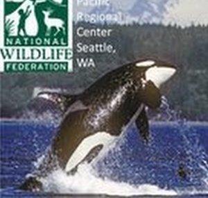 NWF Pacific