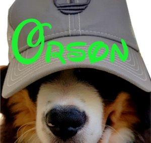 Orson