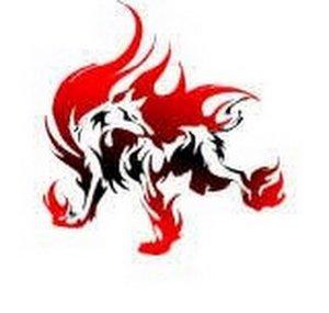TheFlameDawg777