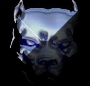 wElcUm2mYnIgHtmARe