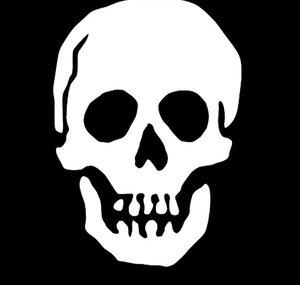 A Pirate's Life