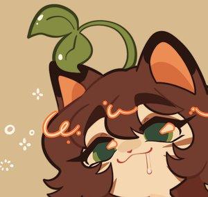 couriercats