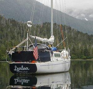 Cruising Lealea