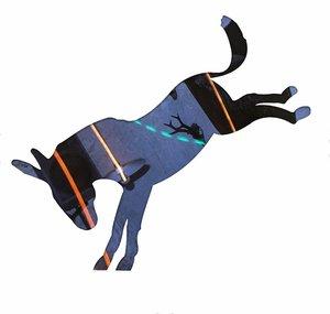 donkypitch