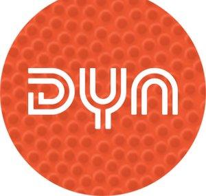 DynBasketball