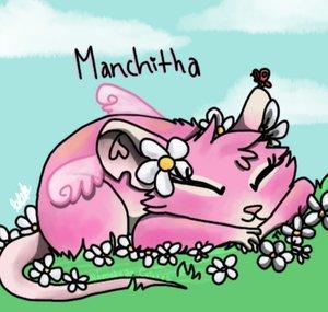 mhanchi mhanchi :3