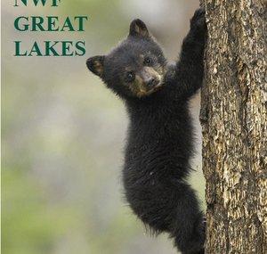 NWF Great Lakes Regional Center