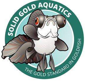 Solid Gold Aquatics