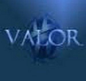TheValorCommunity