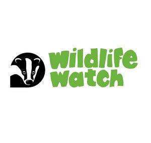 WildlifeWatchUK