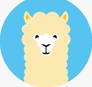 Alpaca Makeup