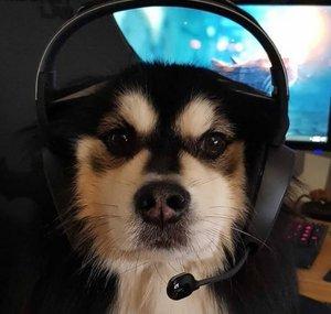 CaptainKosmos