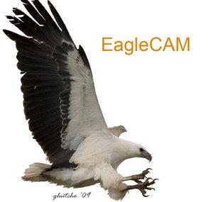 Eaglecam2u