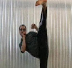 Elasticsteel