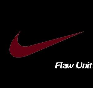 FlawUnit
