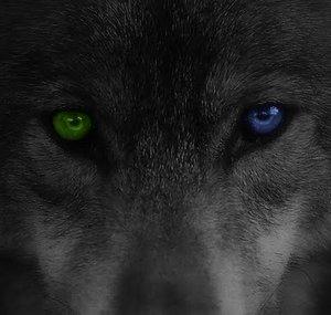 HuntingDoggy