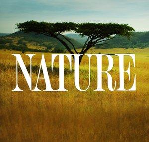 Nature on PBS