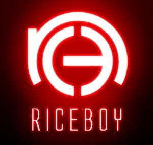 RiceBoyGaming