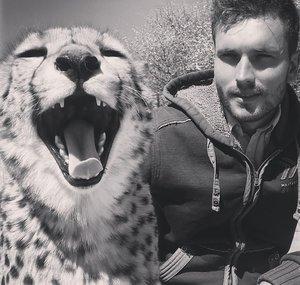 Safari Secrets