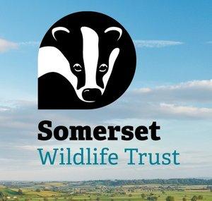 Somerset Wildlife Trust