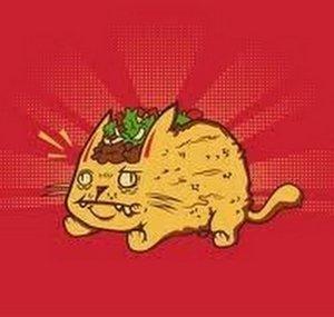 TacoCat6