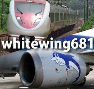 whitewing681
