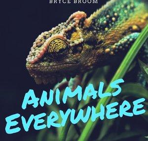 Animals Everywhere Podcast