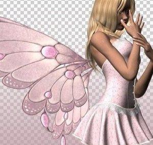 Butterfly12