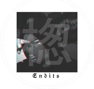 Endits FlowZ