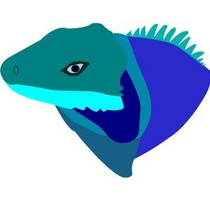 Iguana Gaming