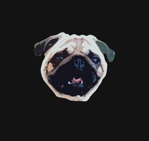 Jack The Pug