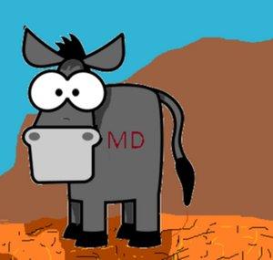 Majordonkie