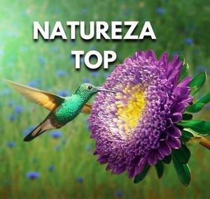 Natureza Top