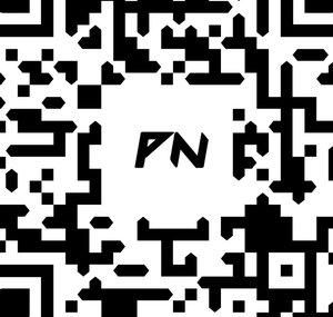 P4NN