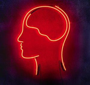 SmarterEveryDay