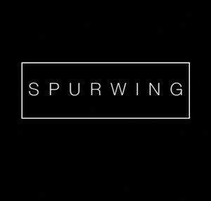 Spurwing Entertainment