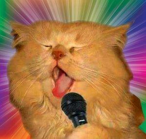 Squeal Cat (Squealcat)