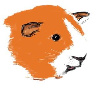 The Guinea Pig Herd (Zoebabies)