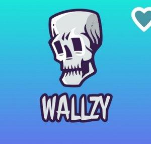 Wallzy