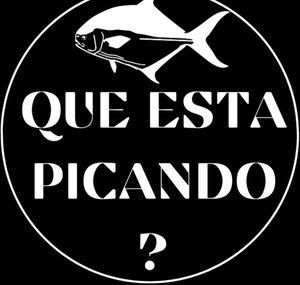 what's biting ?