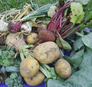 COMMUNITYGARDENS