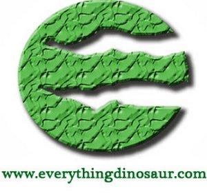 Everything Dinosaur