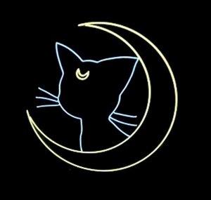 Fragmentos da Lua